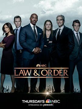 法律与秩序第二十二季在线观看-杰拉尔德影视