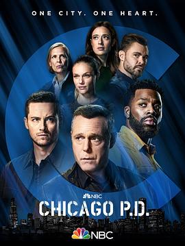 芝加哥警署第九季在线观看-杰拉尔德影视