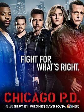 芝加哥警署第四季在线观看-杰拉尔德影视