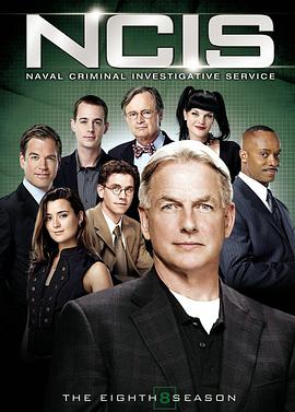 海军罪案调查处第八季在线观看-杰拉尔德影视