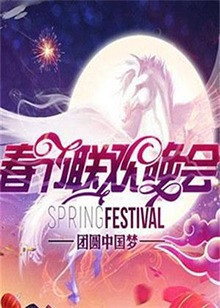 2009湖南卫视春节联欢晚会在线观看-杰拉尔德影视