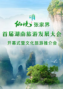 首届湖南旅游发展大会开幕式暨文化旅游推介会在线观看-杰拉尔德影视