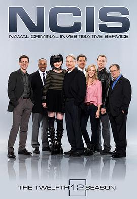 海军罪案调查处第十二季在线观看-杰拉尔德影视