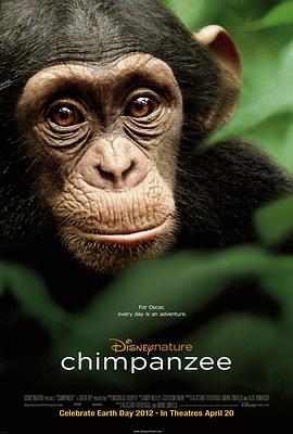 黑猩猩在线观看-杰拉尔德影视